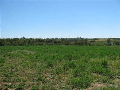 1240 Jim Clark Road Lancaster, KY 40444 - Photo 17 of 34 Photo 17
