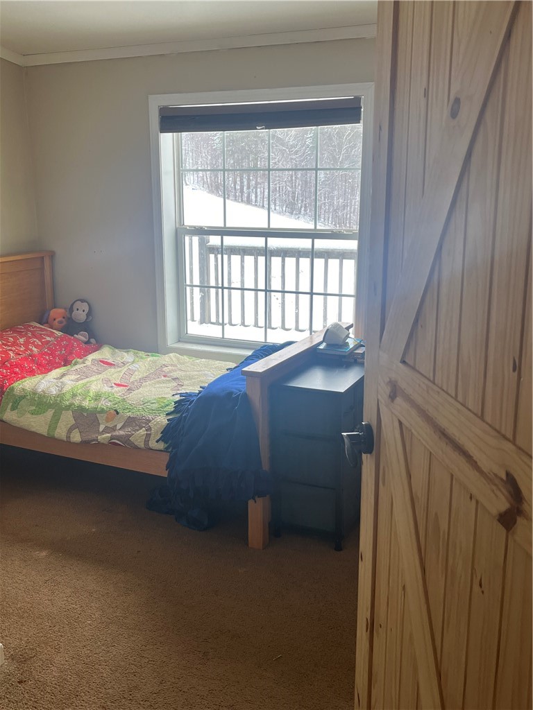 335 Cooper Hill Road Van Etten, NY 14889 - Photo 17 of 30