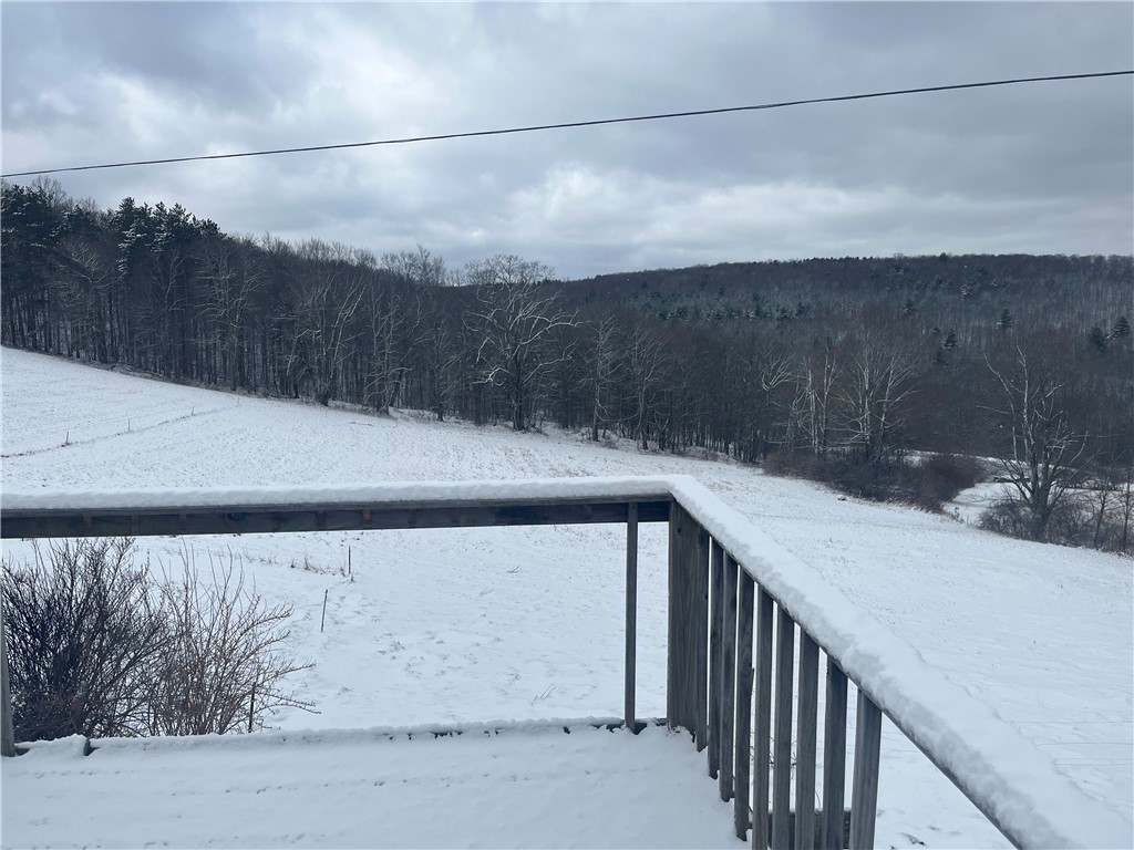 335 Cooper Hill Road Van Etten, NY 14889 - Photo 4 of 30