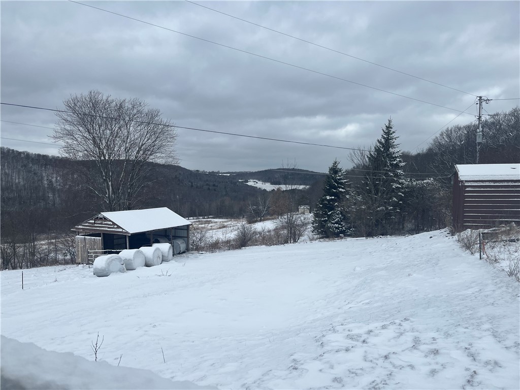 335 Cooper Hill Road Van Etten, NY 14889 - Photo 6 of 30