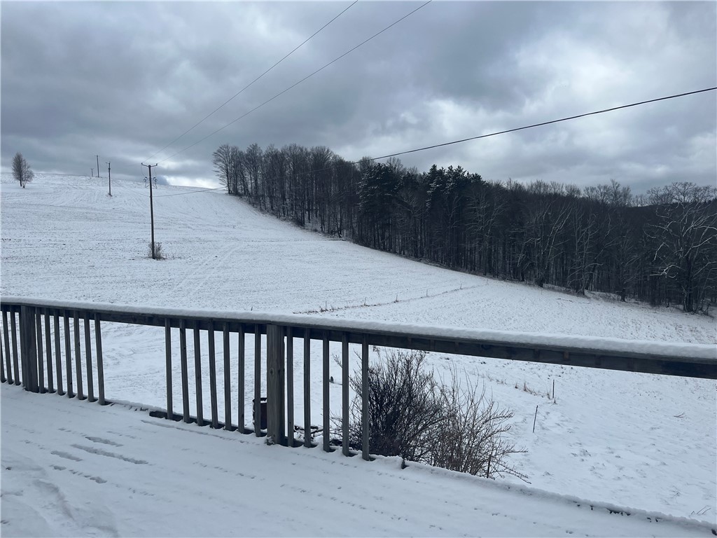 335 Cooper Hill Road Van Etten, NY 14889 - Photo 7 of 30