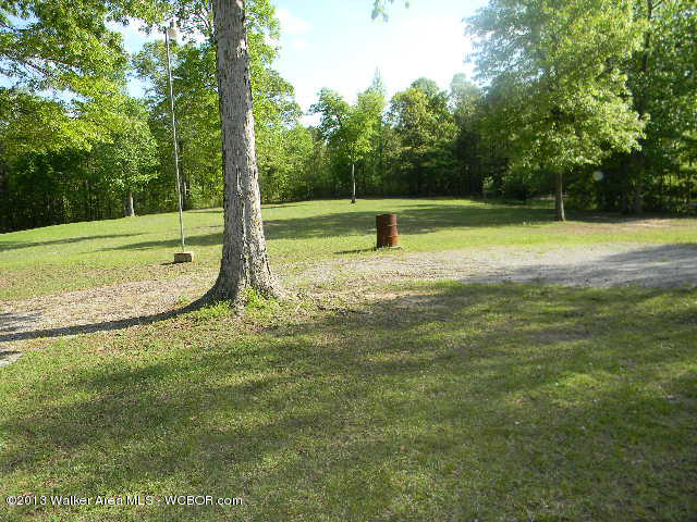 5675 Bird Farm Road Jasper, AL 35503 - Photo 18 of 20 Gallery Image 18