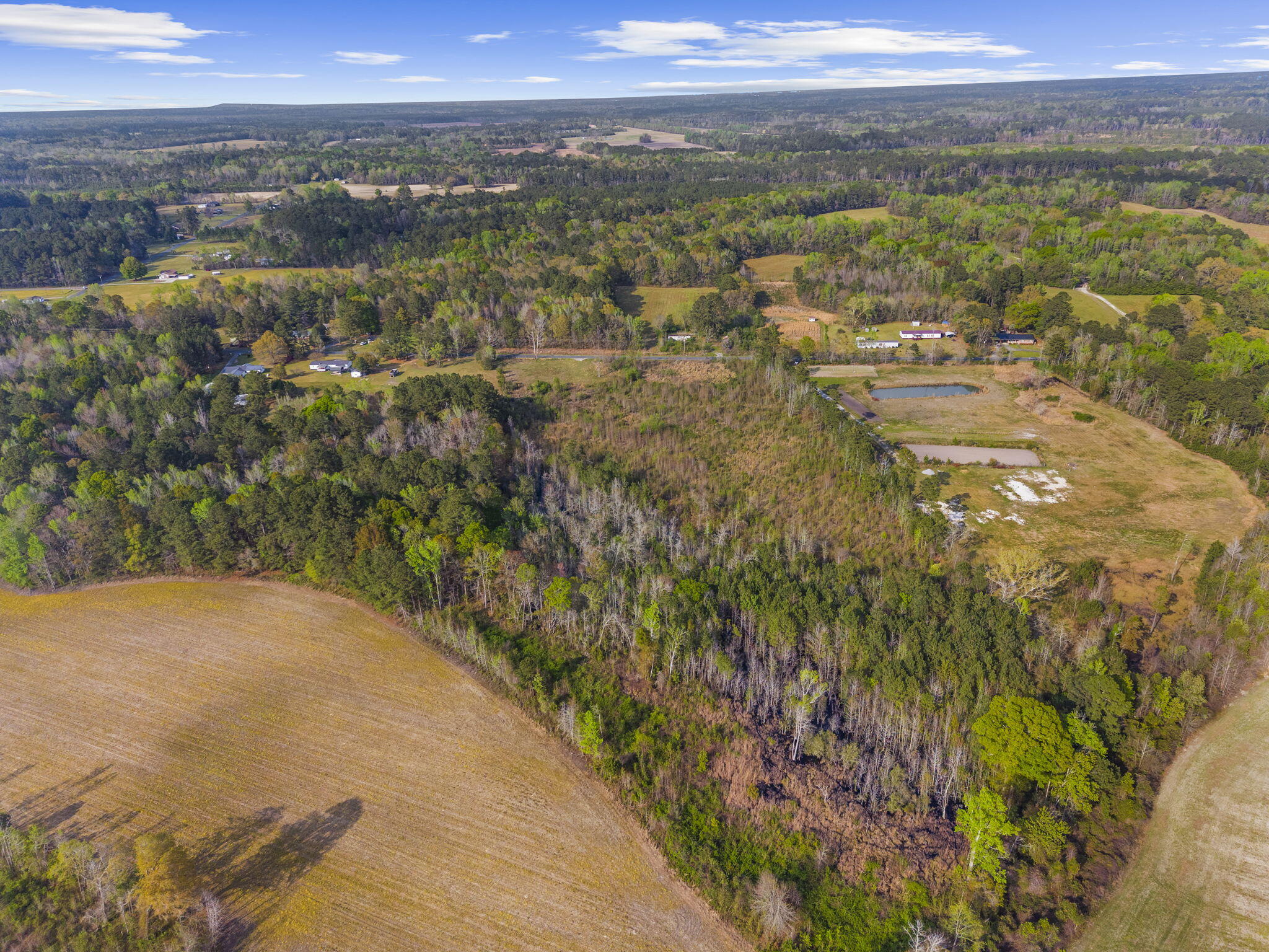 0 Mt Zion Road St. George, SC 29477 - Photo 8 of 14