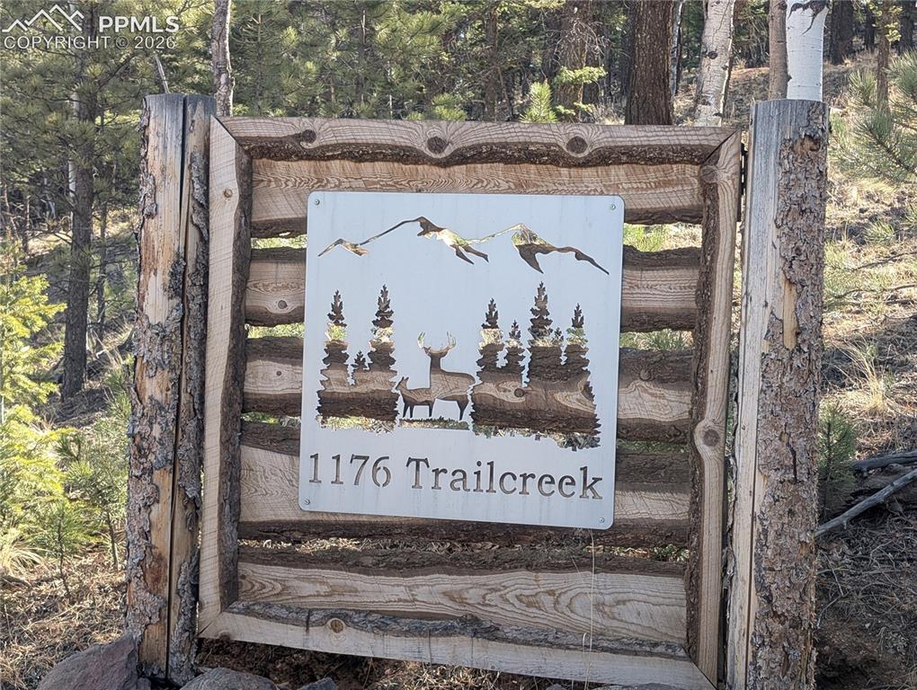 1176 Trail Creek Road Lake George, CO 80827 - Photo 2 of 34