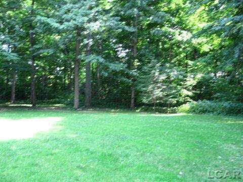 6273 Forrister Road Adrian, MI 49221 - Photo 10 of 11 20419333-9.JPG