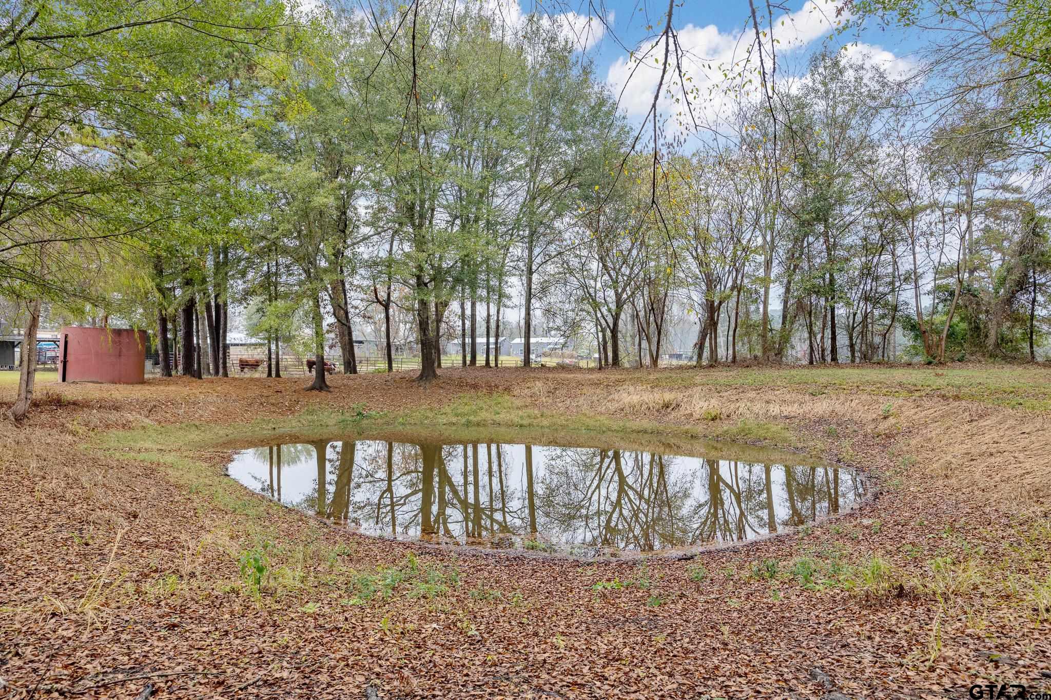11063 County Road 2298 Tyler, TX 75707 - Photo 16 of 21 a view of a yard with trees