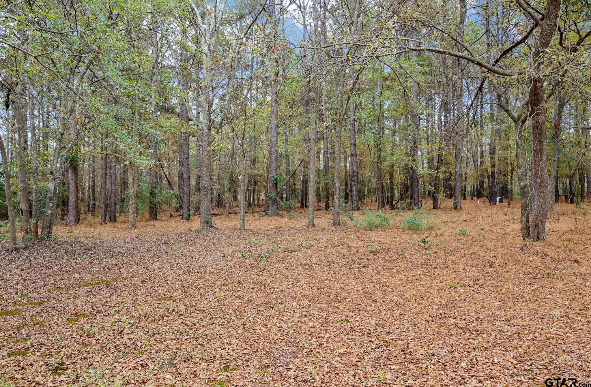 11063 County Road 2298 Tyler, TX 75707 - Photo 18 of 21 a backyard of a house with lots of green space