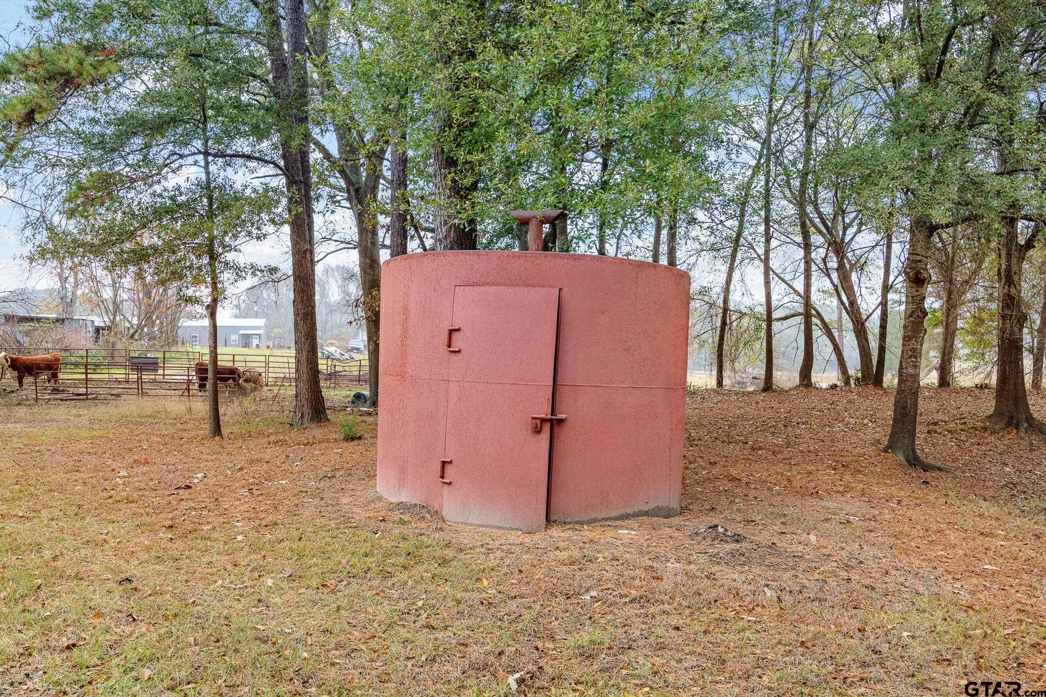 11063 County Road 2298 Tyler, TX 75707 - Photo 19 of 21 a view of a backyard
