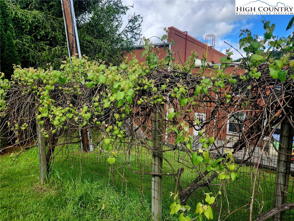 130 Wheeler Street Boone, NC 28607 - Photo 13 of 40 a picture of plants