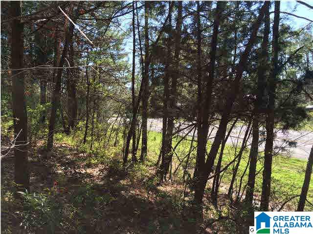 79 Highway 79, Unit 3 9 Cleveland, AL 35049 - Photo 9 of 21