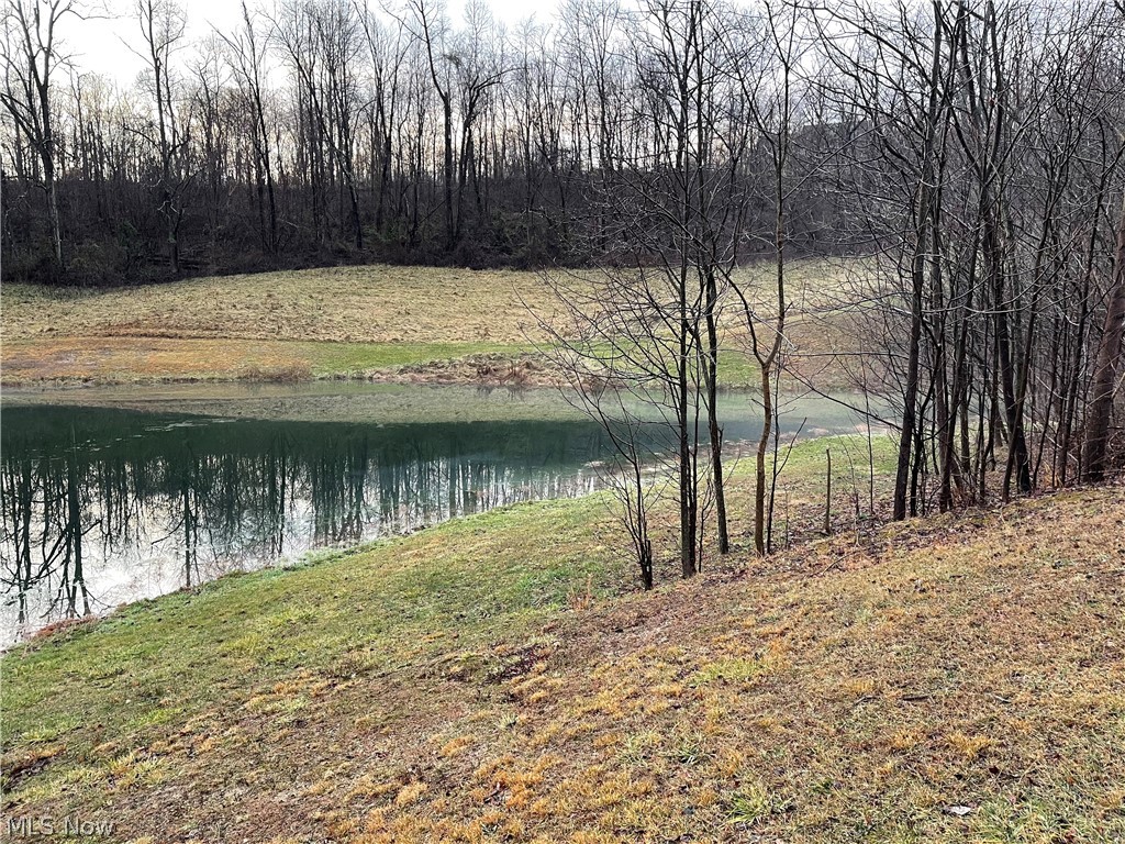 Tbd Arman Hill Road Powhatan Point, OH 43942 - Photo 8 of 17 Gallery Image 8