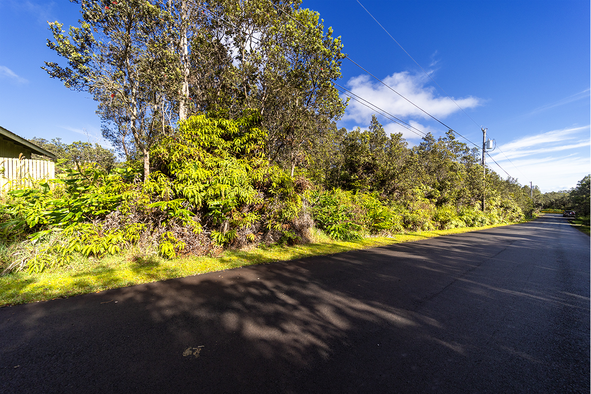 797 9th Street Volcano, HI 96785 - Photo 3 of 9 a view of a yard
