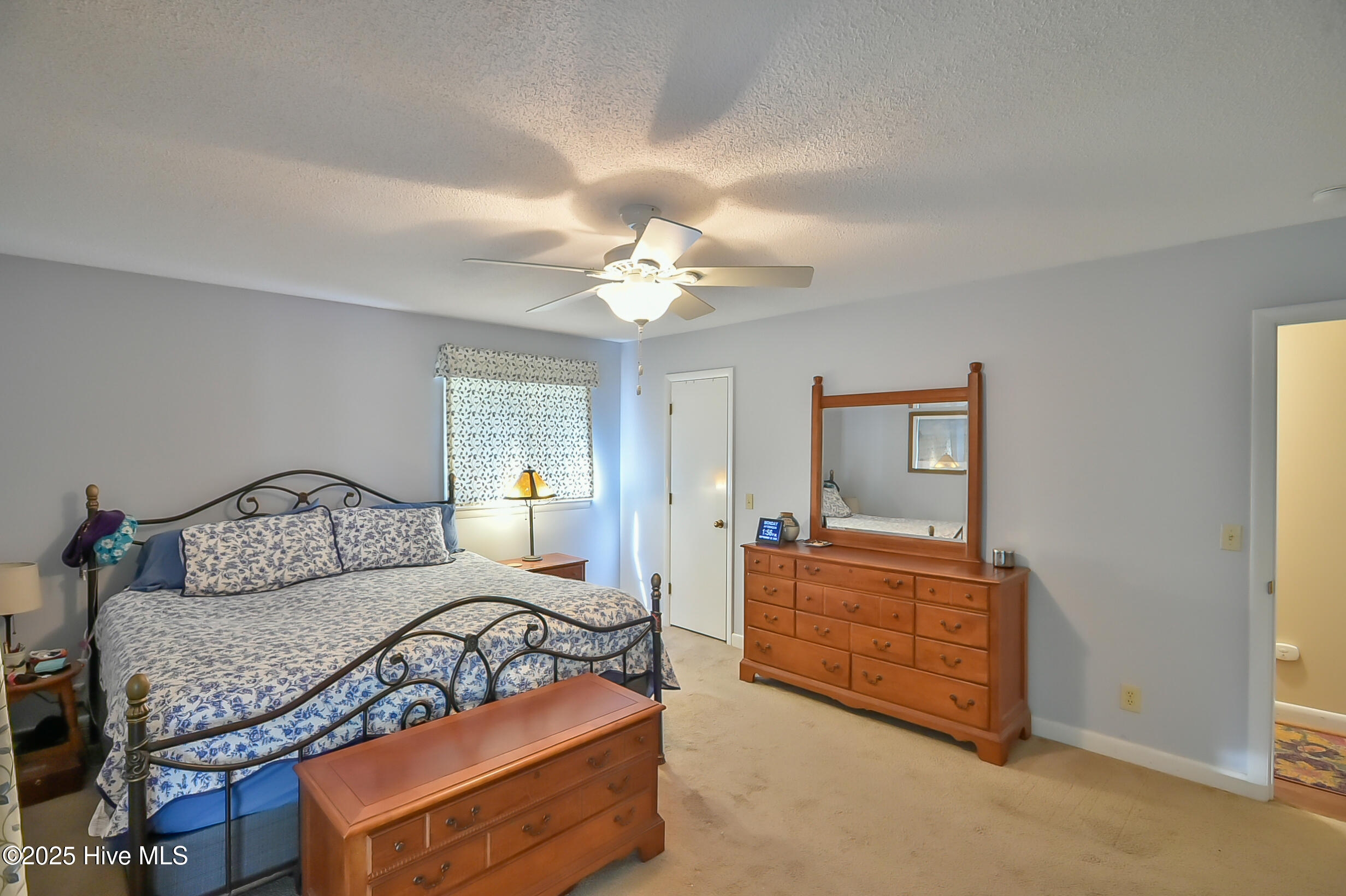 250 Ray's Drive Apex, NC 27523 - Photo 14 of 34 _DSC6643