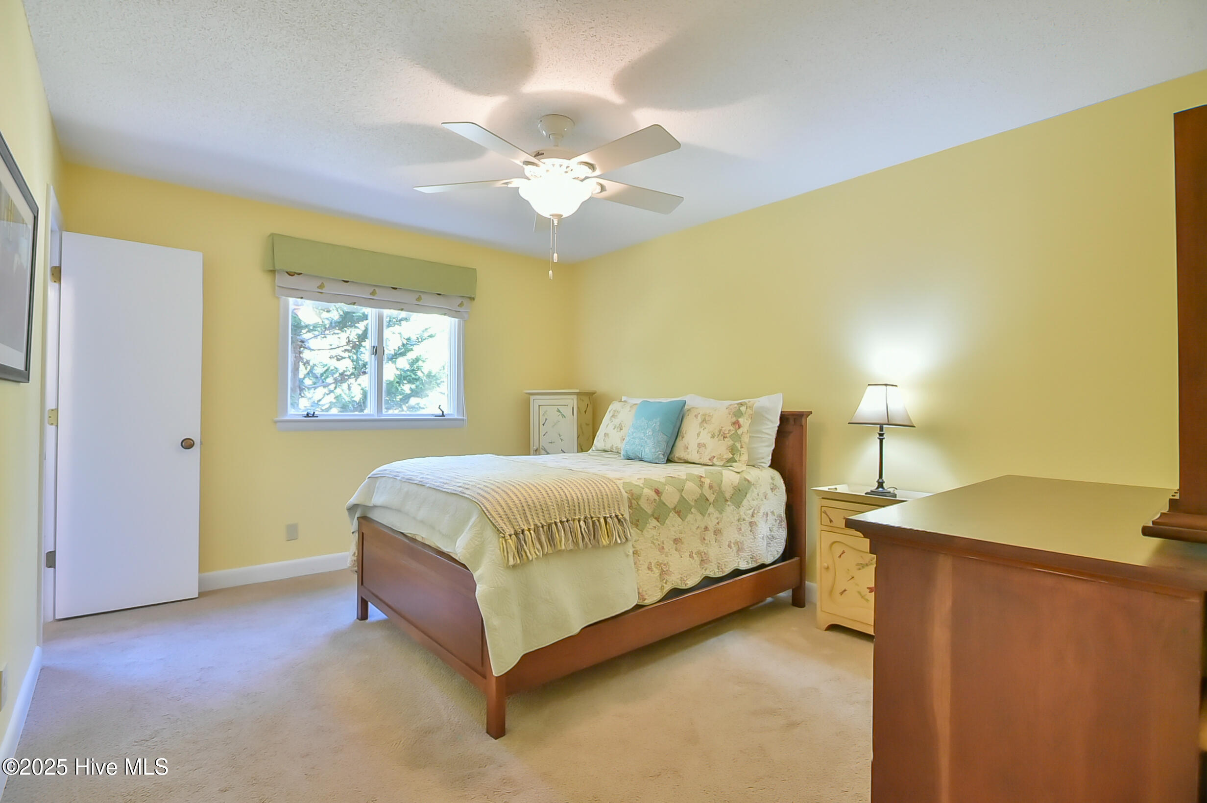 250 Ray's Drive Apex, NC 27523 - Photo 17 of 34 _DSC6634-2