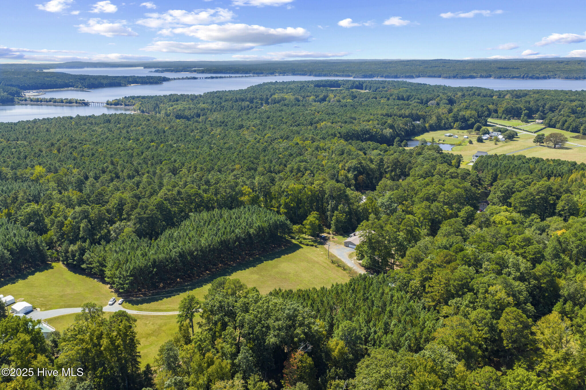 250 Ray's Drive Apex, NC 27523 - Photo 33 of 34 Drone_250_Ray's_Drive_006