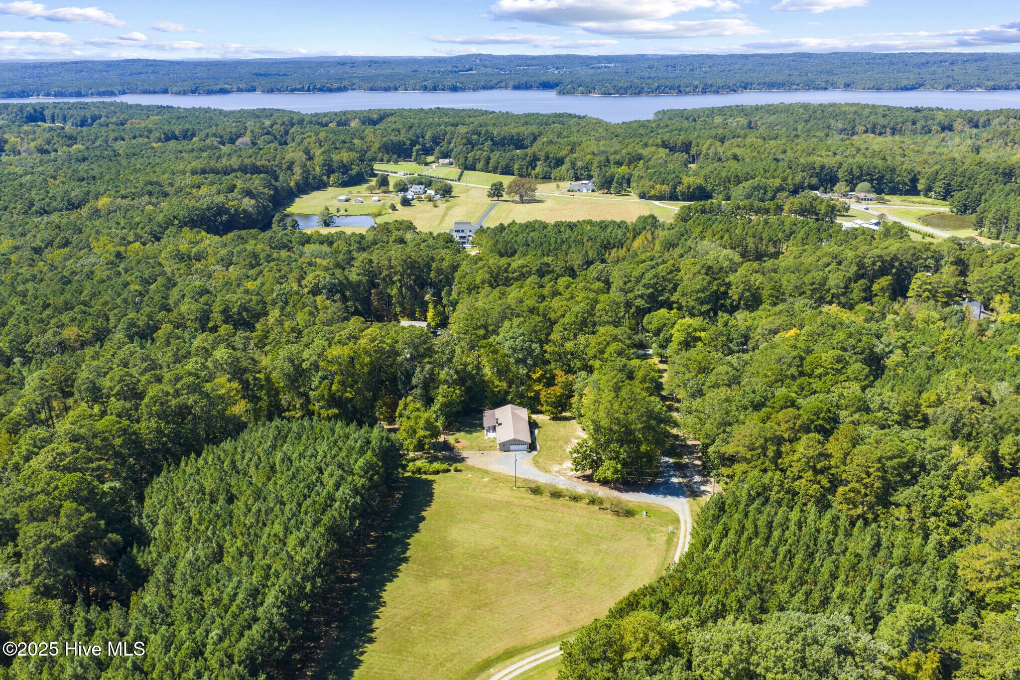 250 Ray's Drive Apex, NC 27523 - Photo 34 of 34 Drone_250_Ray's_Drive_008