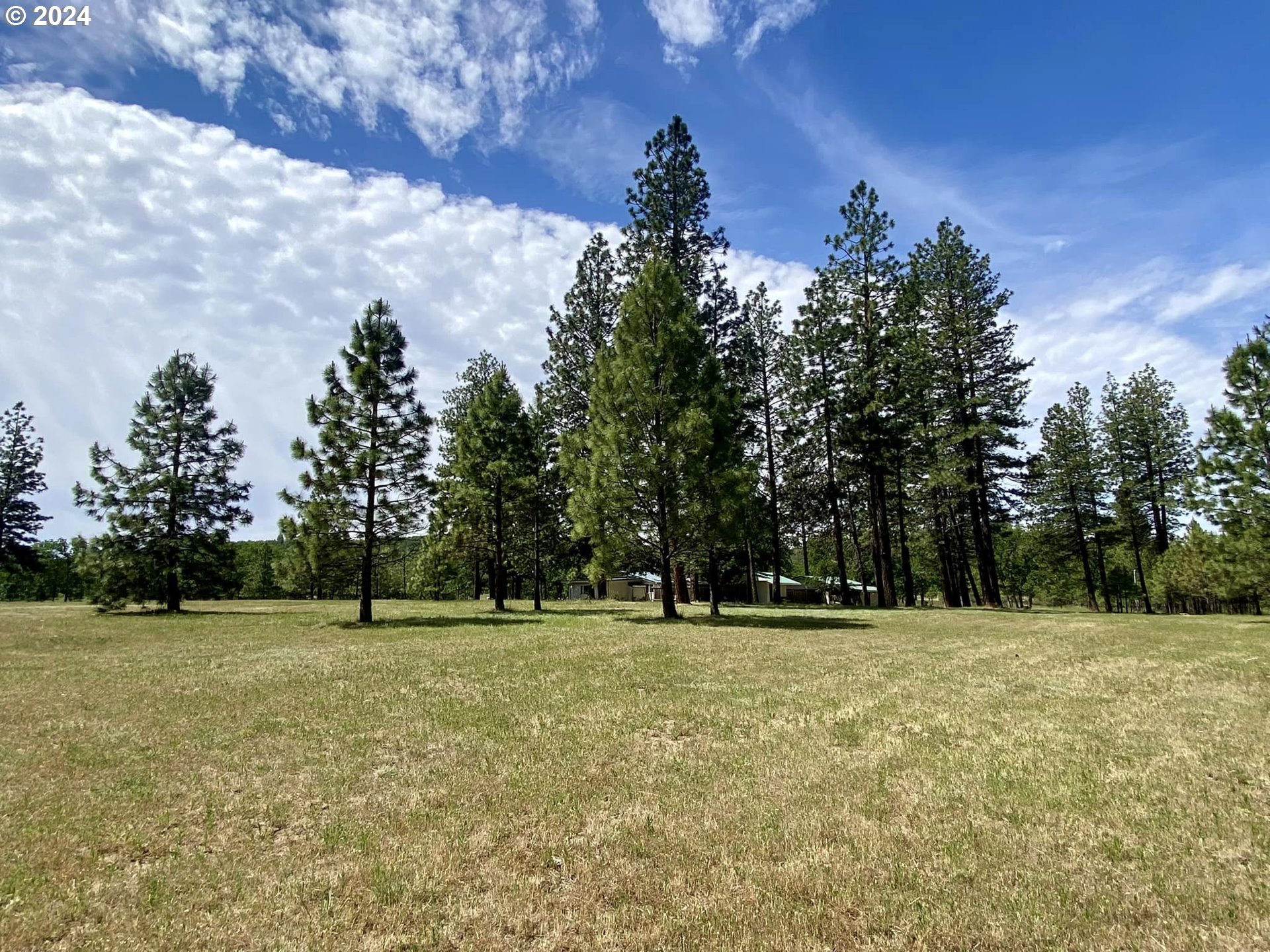 546 Woodland Road Goldendale, WA 98620 - Photo 35 of 39 Gallery Image 35