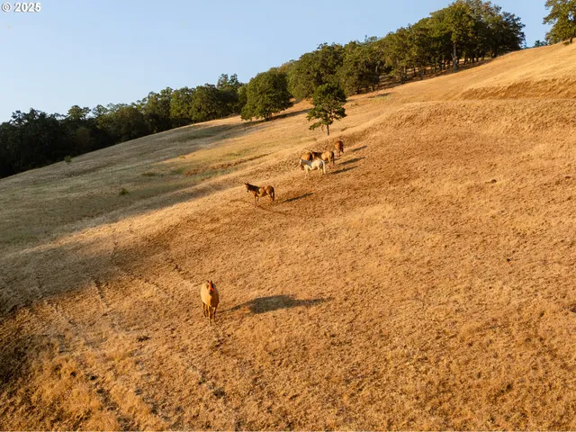 $1,199,900 | 629 Buell Lane, Roseburg, OR 97471