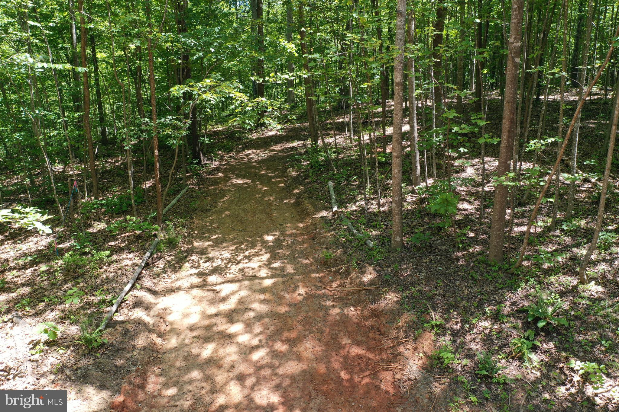 0 Thoroughfare Road, Unit LOT 1 Culpeper, VA 22701 - Photo 2 of 10