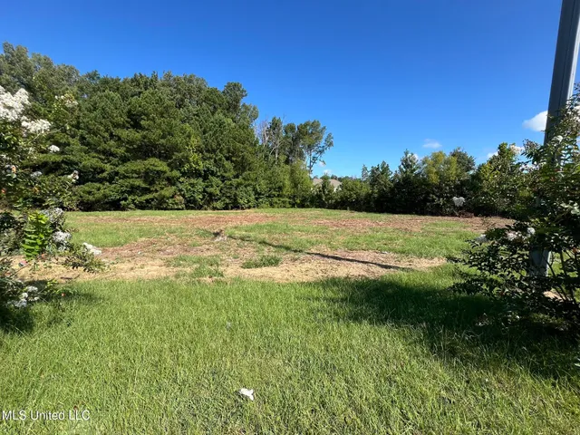 $675,000 | 0 Byram Parkway, Byram, MS 39272