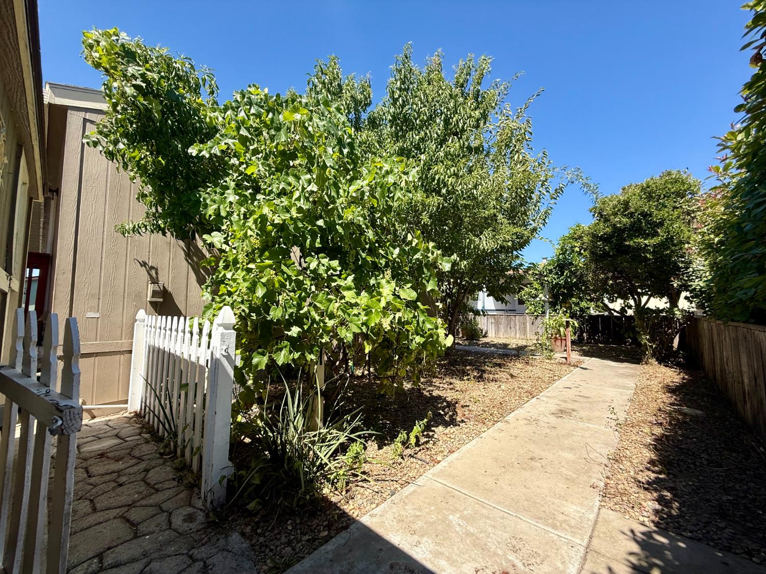 140 Clipper Lane Modesto, CA 95356 - Photo 21 of 25