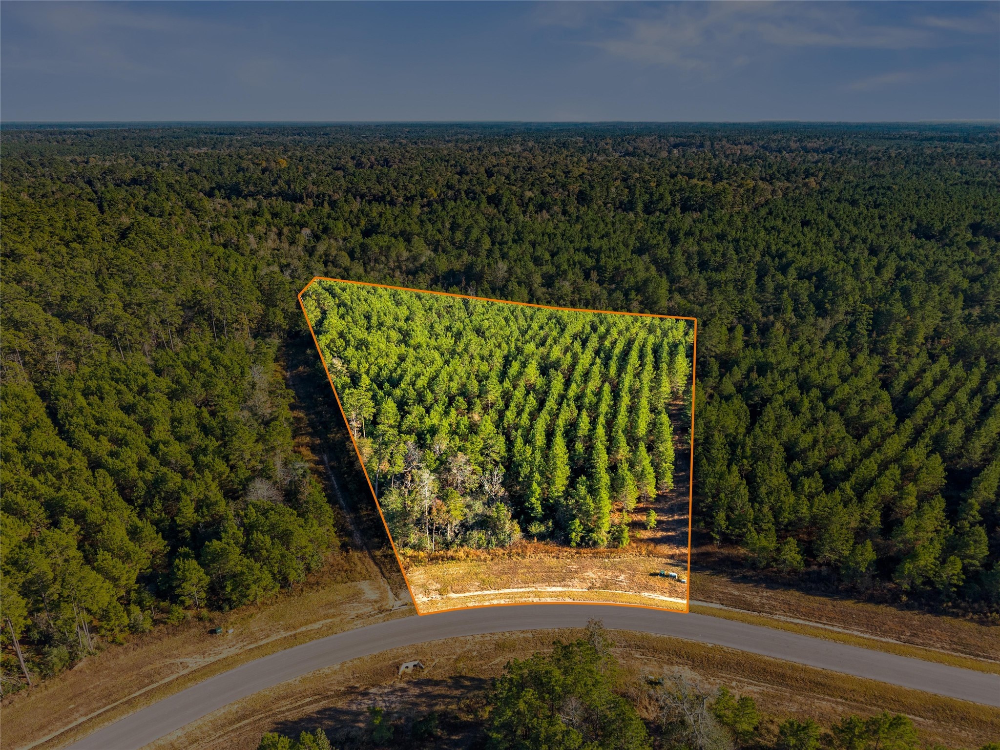 12684 Oak Barrel Road Willis, TX 77378 - Photo 1 of 20 a view of a back yard