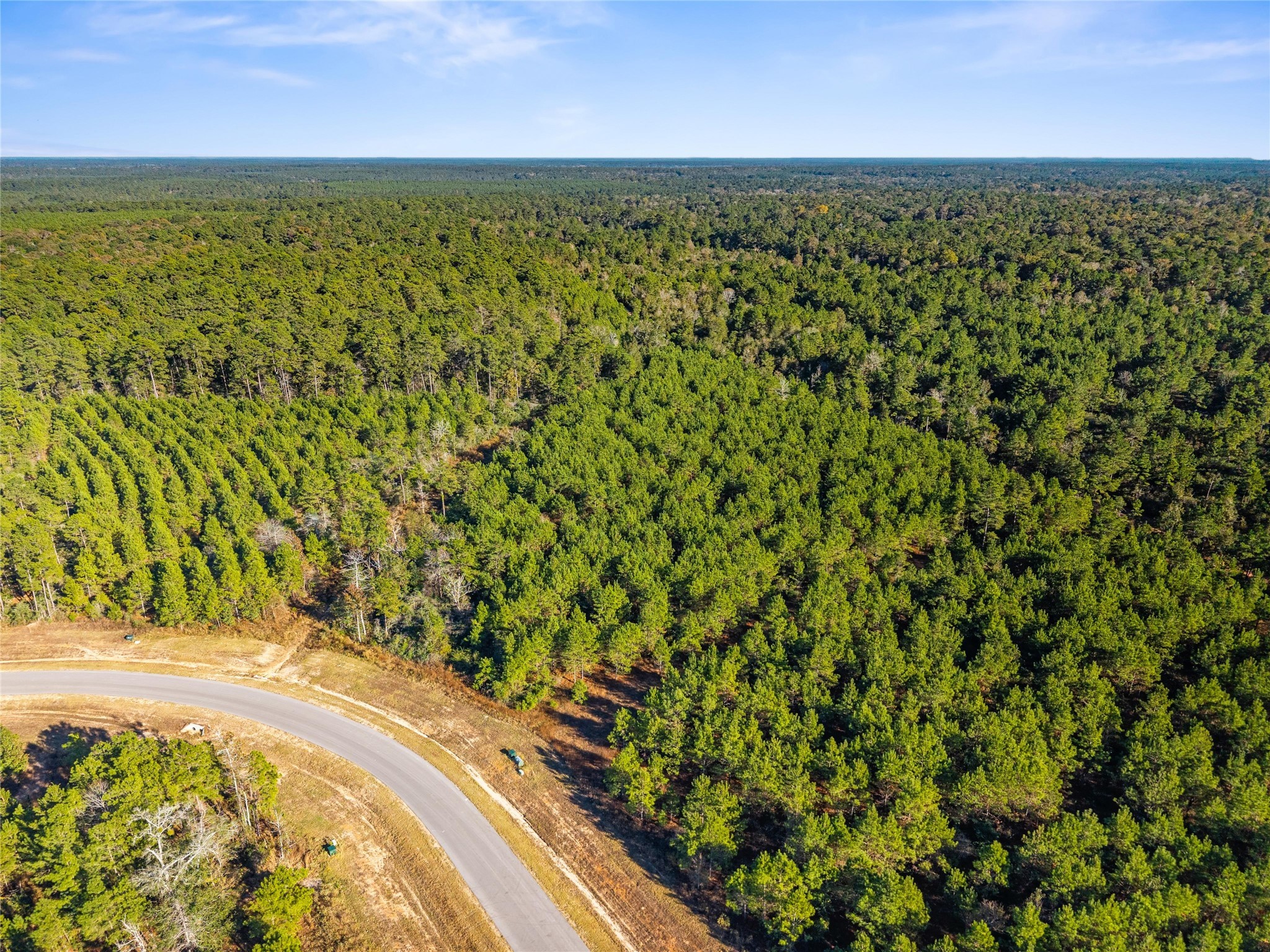 12684 Oak Barrel Road Willis, TX 77378 - Photo 5 of 20 a view of an outdoor space and a yard