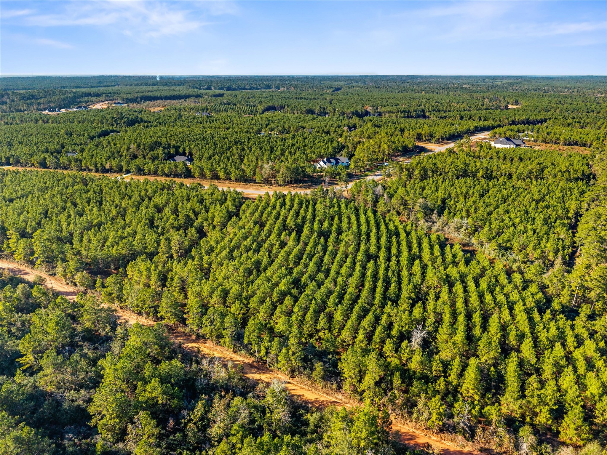 12684 Oak Barrel Road Willis, TX 77378 - Photo 8 of 20 a view of a city with lots of trees