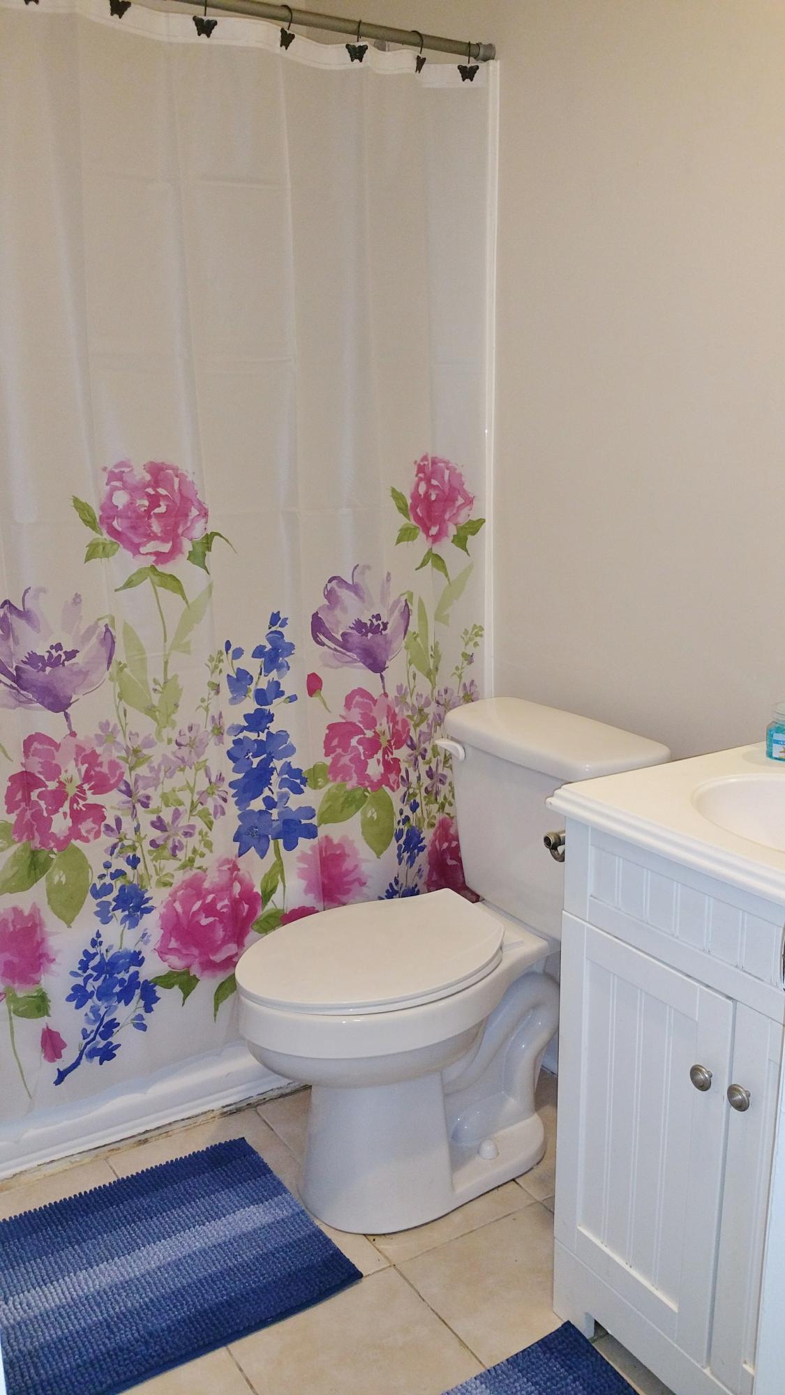 135 Belknap Road Goose Creek, SC 29445 - Photo 8 of 15 Hall Bath