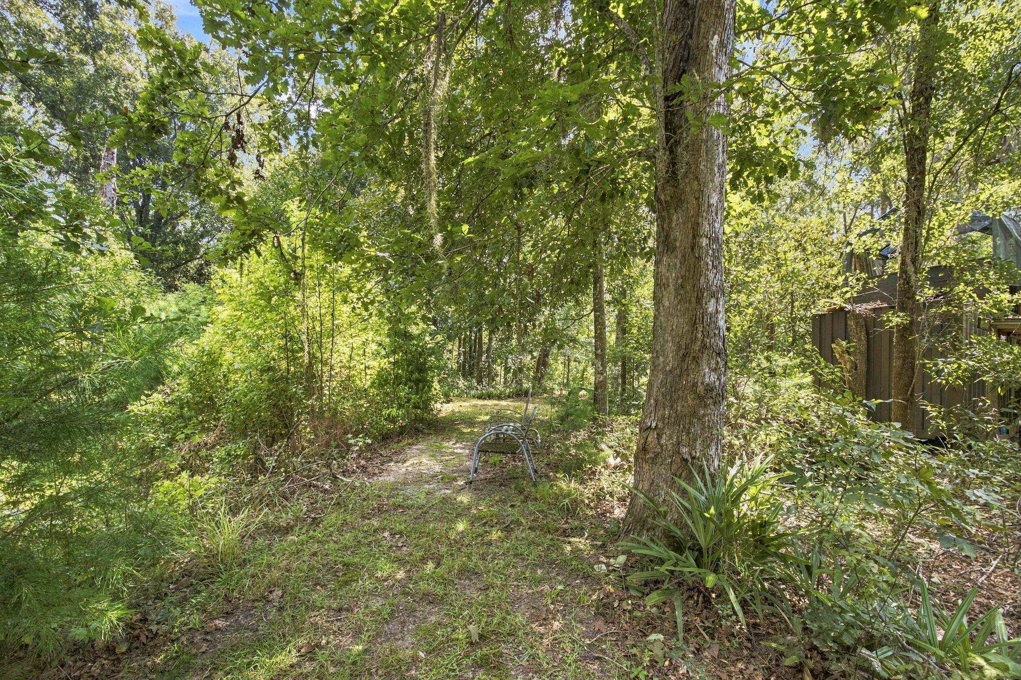 Lot 16 Johnny Road Lamont, FL 32336 - Photo 28 of 54 Gallery Image 28