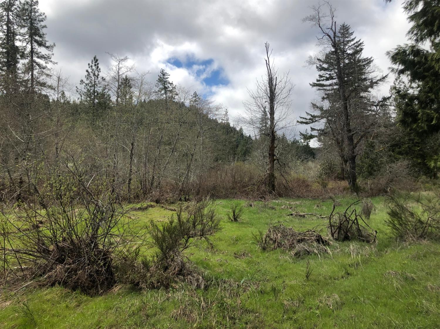 0 Lone Mountain Road, Unit TL602 O'Brien, OR 97534 - Photo 3 of 12 Additional Photo