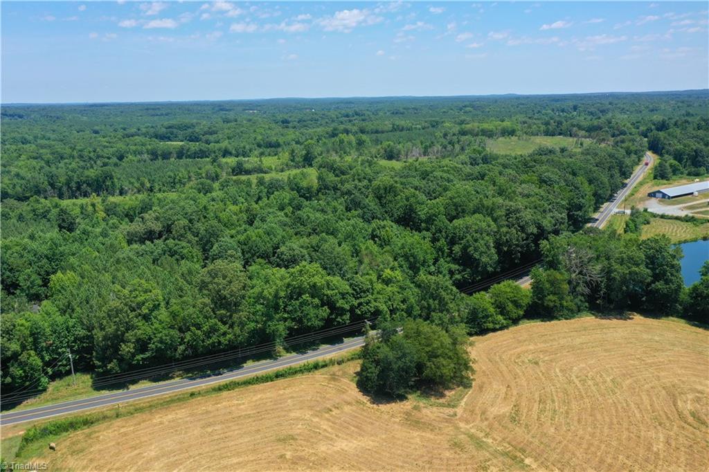 0 Bennett Road Bennett, NC 27208 - Photo 17 of 41