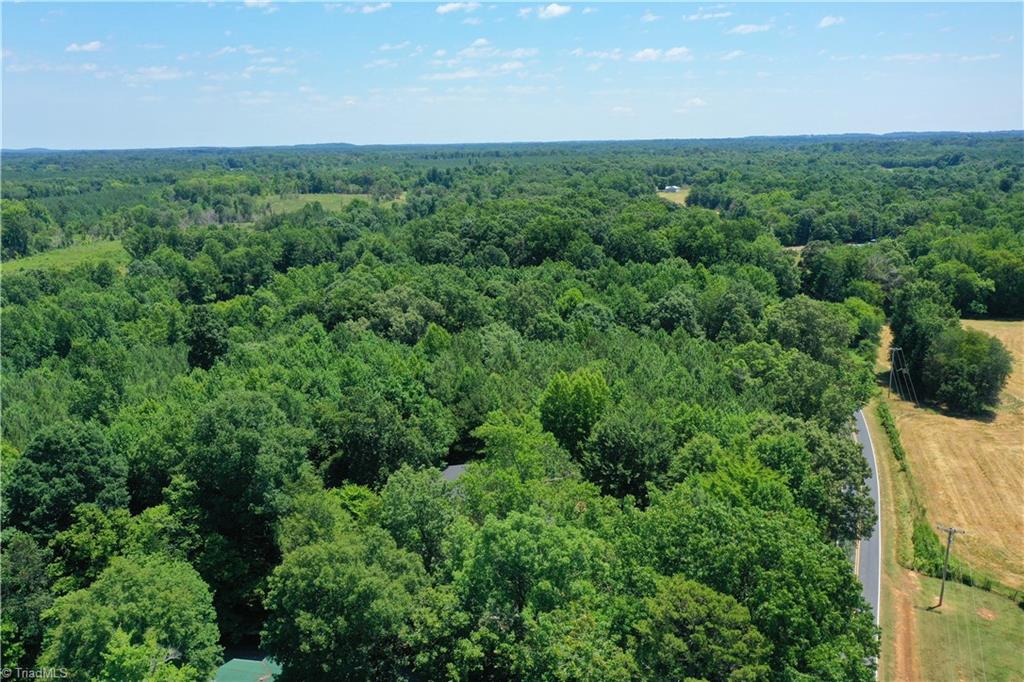0 Bennett Road Bennett, NC 27208 - Photo 19 of 41