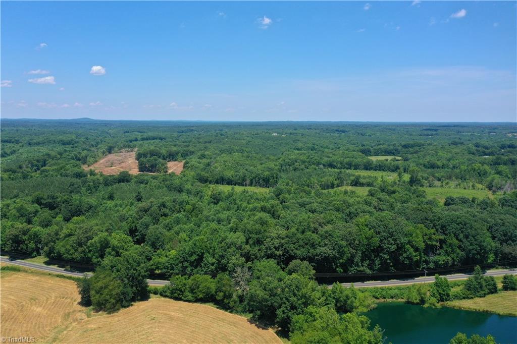 0 Bennett Road Bennett, NC 27208 - Photo 23 of 41
