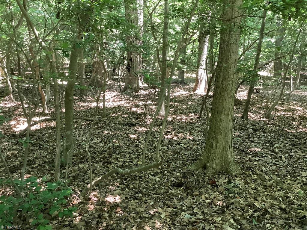 0 Bennett Road Bennett, NC 27208 - Photo 33 of 41