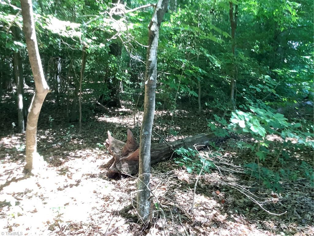 0 Bennett Road Bennett, NC 27208 - Photo 34 of 41