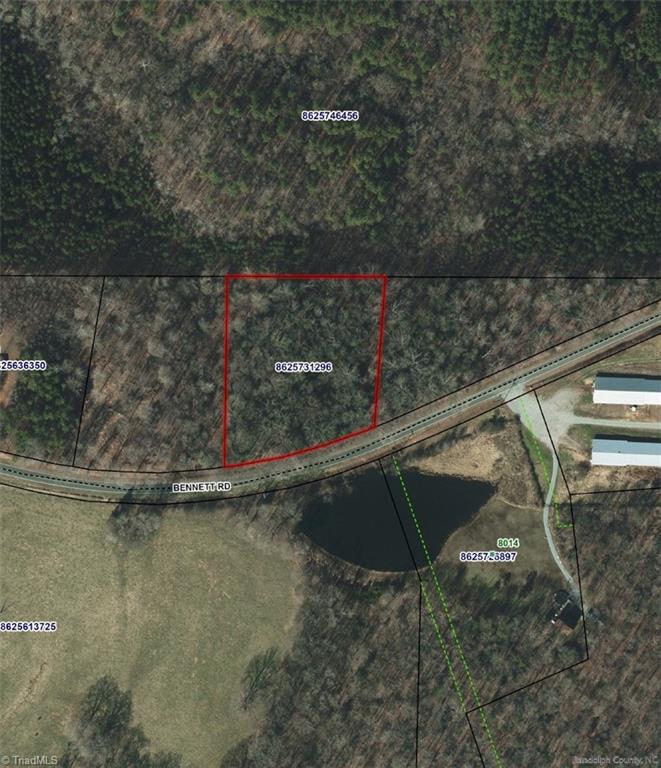 0 Bennett Road Bennett, NC 27208 - Photo 41 of 41