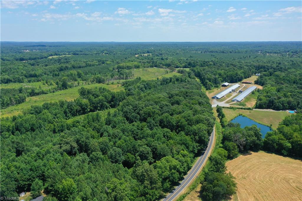 0 Bennett Road Bennett, NC 27208 - Photo 6 of 41