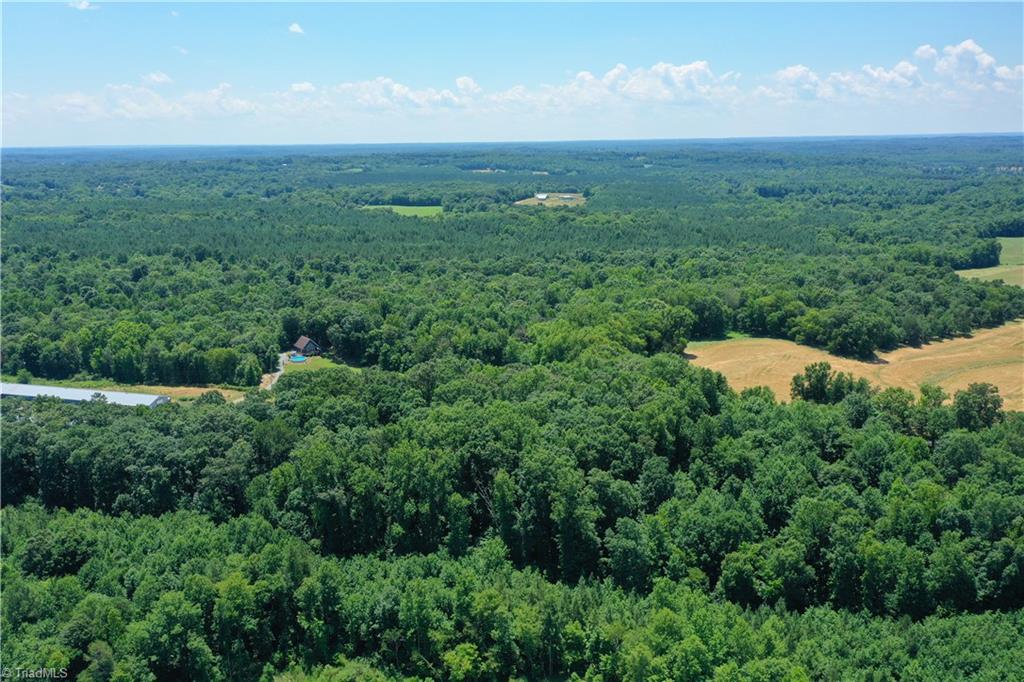 0 Bennett Road Bennett, NC 27208 - Photo 10 of 41