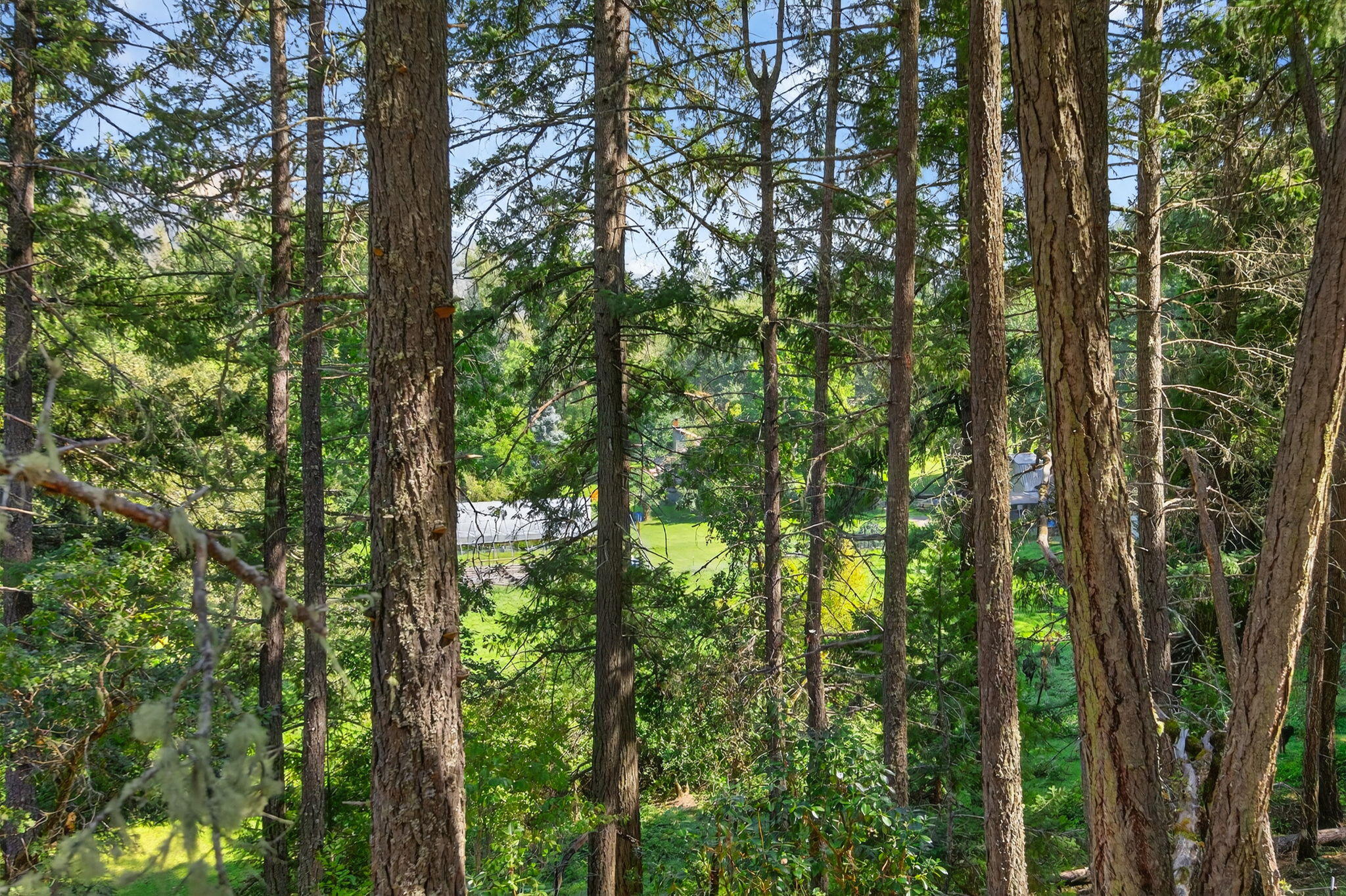3950 Little Applegate Road Jacksonville, OR 97530 - Photo 19 of 21 Gallery Image 19