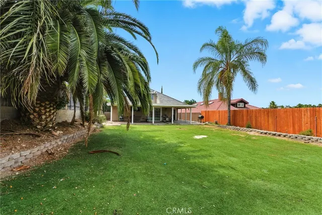 a view of a yard with a palm tree
