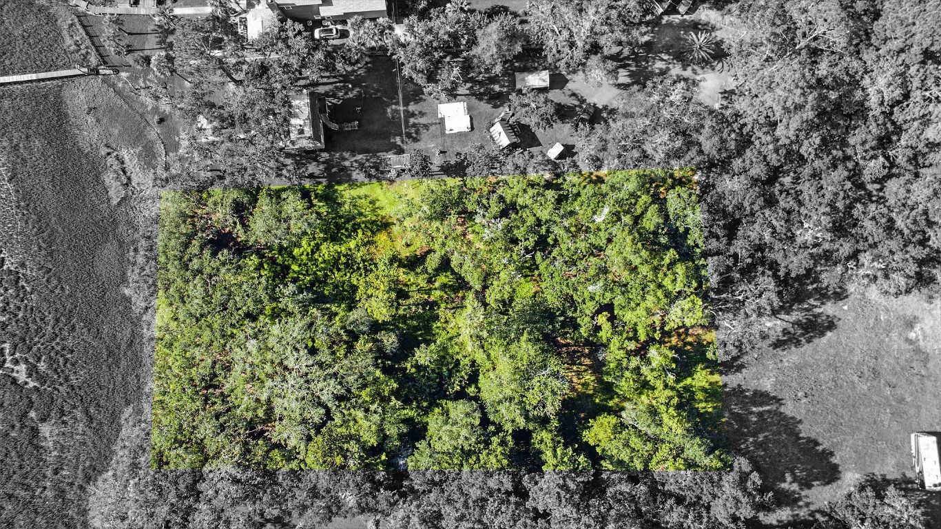 Lot At Lot At End Of Tyson Road Fernandina Beach, FL 32034 - Photo 3 of 10 a plant with lots of plants and trees