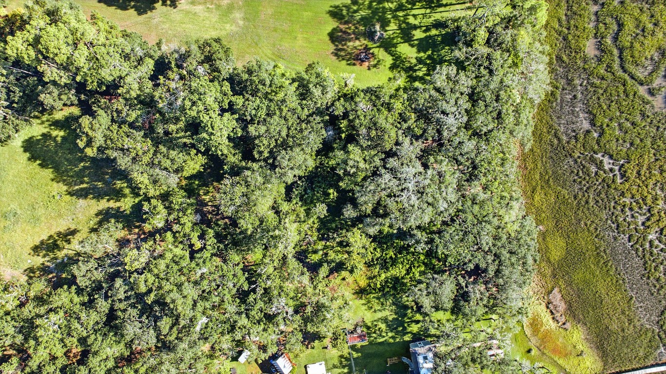 Lot At Lot At End Of Tyson Road Fernandina Beach, FL 32034 - Photo 5 of 10 a view of a lush green forest