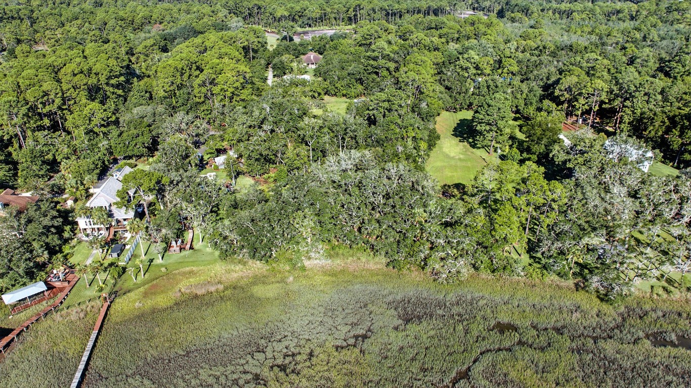 Lot At Lot At End Of Tyson Road Fernandina Beach, FL 32034 - Photo 6 of 10 a view of a yard
