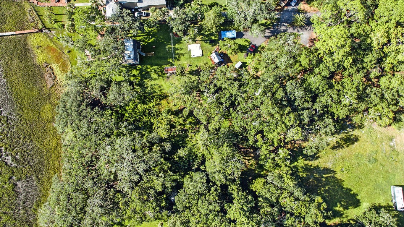 Lot At Lot At End Of Tyson Road Fernandina Beach, FL 32034 - Photo 7 of 10 a view of a plant in a garden