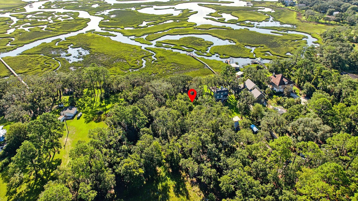 Lot At Lot At End Of Tyson Road Fernandina Beach, FL 32034 - Photo 9 of 10 a view of a tree in a garden