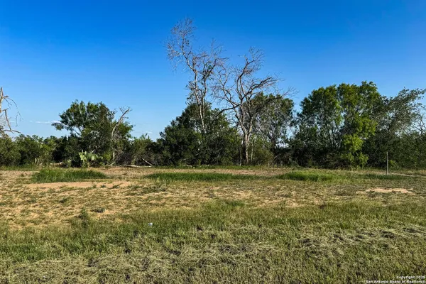 a view of a field with trees in the background