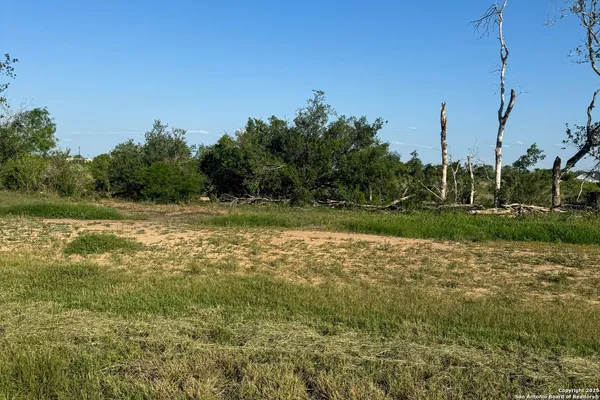 a view of a field with trees in the background