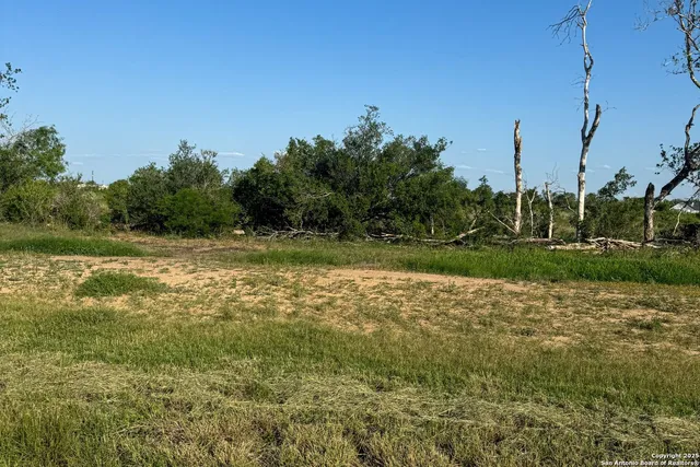 a view of a field with trees in the background