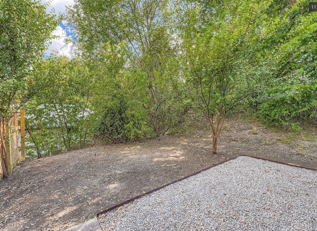 1305 Hollow Creek Drive, Unit 4 Austin, TX 78704 - Photo 20 of 21 a view of a yard with a tree